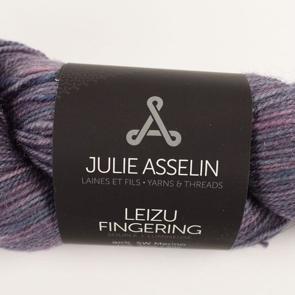 Julie Asselin Leizu Fingering Yarn SW Merino Silk 420yds Pompadour Colorway - Picture 5 of 5